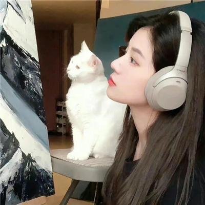 人生几度秋凉